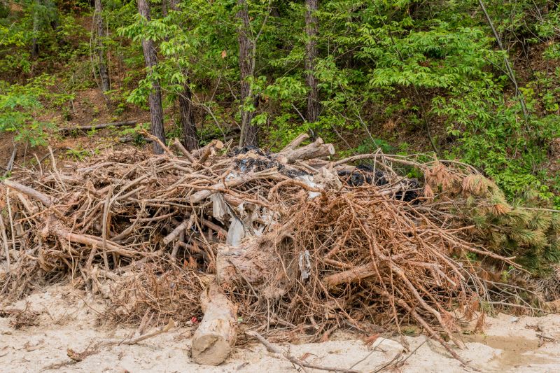 Dogwood Tree Removal