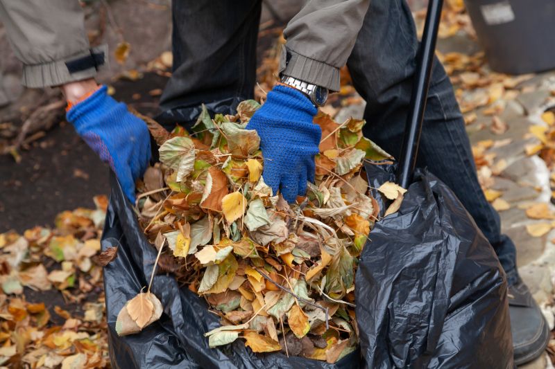 Fall Leaf Cleanup