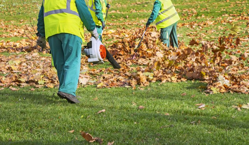 Efficient Leaf Collection