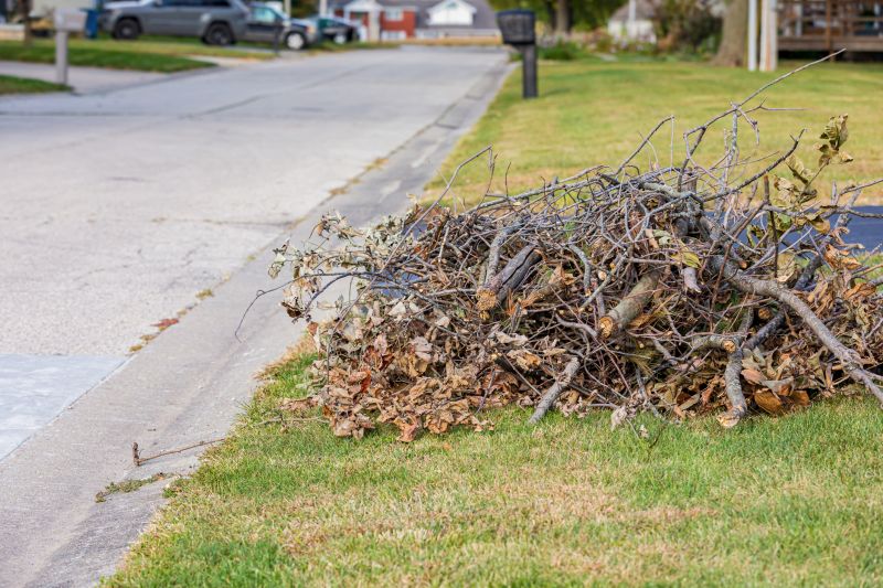 Proper Disposal Techniques