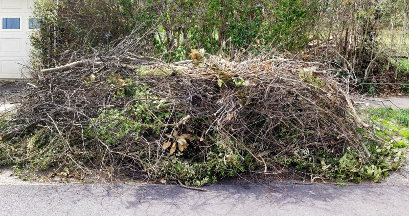 Clearing Fallen Trees