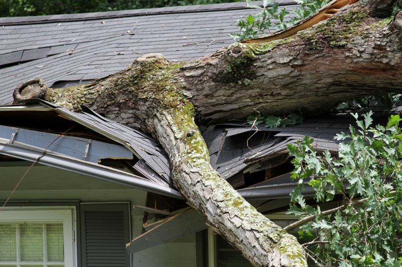Storm Damage Tree Removal