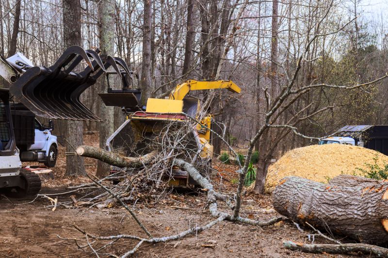 Equipment Used in Tree Removals