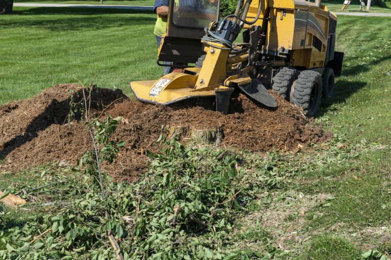 Stump Grinding Finish