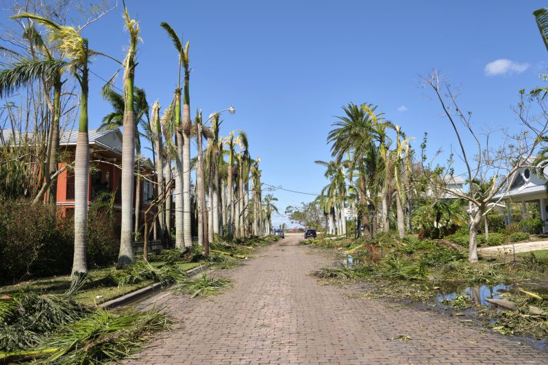 Storm Damage Response