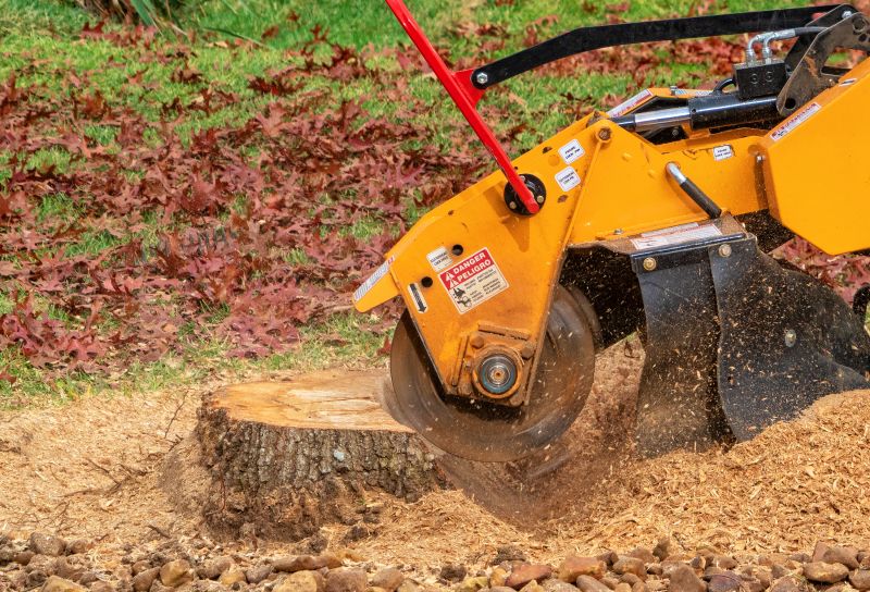 Tree Removal Equipment