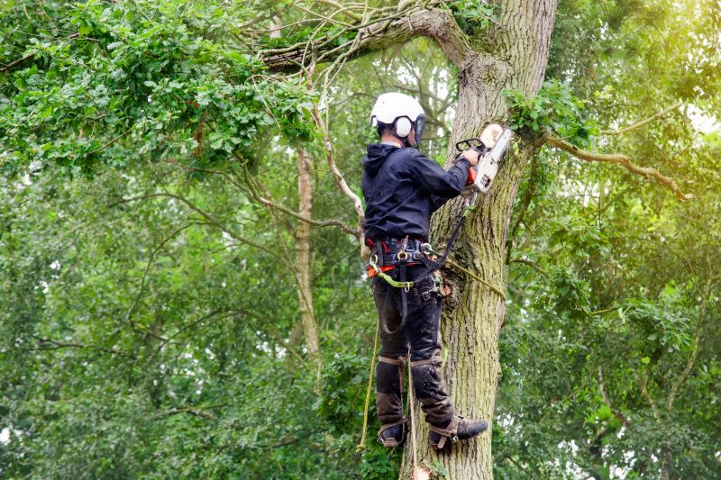 Certified Arborists