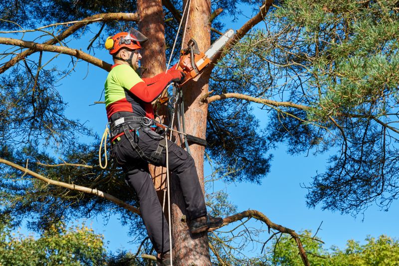 Utility Line Clearance Teams
